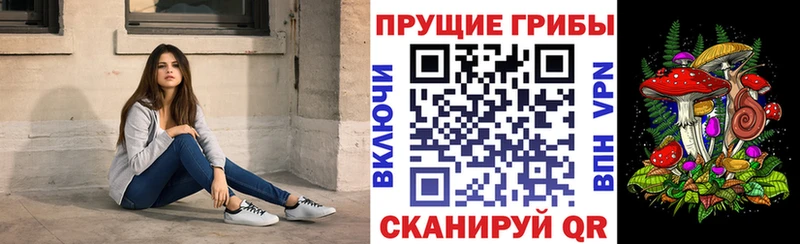 закладка  Чёрмоз  Псилоцибиновые грибы Cubensis 
